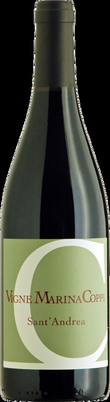 Sant'Andrea Colli Tortonesi Barbera DOC Vigne Marina Coppi - 2021 - Piemont, Italien