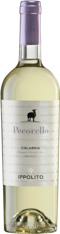 Pecorello Calabria Bianco IGT Cantine Vincenzo Ippolito - 2025 - Kalabrien, Italien