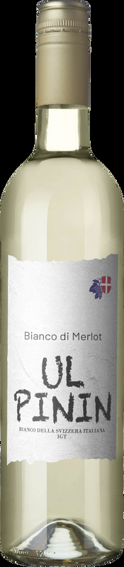 Ul pinin - Bianco della svizzera italiana IGT Cantina Mendrisio - 2023 - Tessin, Schweiz