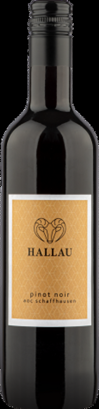 Hallau Schaffhausen AOC Pinot Noir Rutishauser-Divino - Ostschweiz, Schweiz