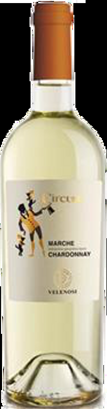 Chardonnay Circum Marche IGT Velenosi Ercole Vitivinicola Ascoli Piceno - 2024 - Marche, Italien