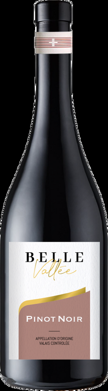 Pinot Noir AOC Valais Belle Vallée Jean-René Germanier - 2021 - Wallis, Schweiz
