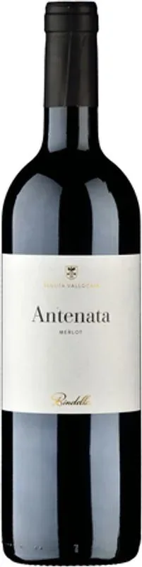 Antenata Toscana IGT Bindella / Tenuta Vallocaia - 2022 - Toskana, Italien
