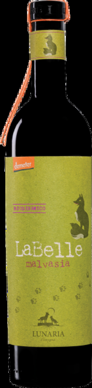 Lunaria Labelle Malvasia IGP Terre d'Abruzzo Cantina Orsogna Biologico Demeter Vegan Cantina Orsogna - 2024 - Abruzzen, Italien