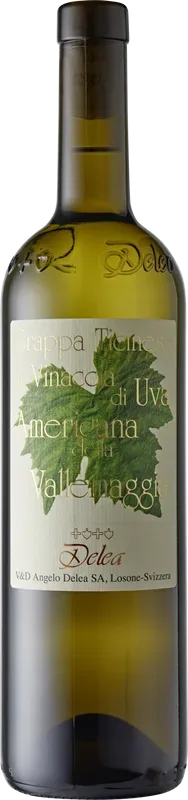 Grappa Vallemaggia di uva Americana Vini & Distillati Angelo Delea SA Angelo Delea - Tessin, Schweiz