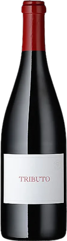 Tributo Rui Reguinga Enologia Lda - 2023 - Ribatejo, Portugal