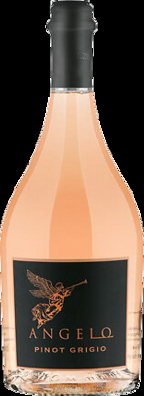 Pinot Grigio Rosé DOC Angelo - 2024 - Veneto, Italien