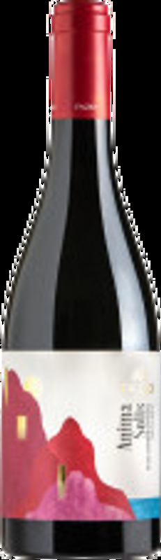 Erice DOC Anima Solis Rosso Casa Vinicola Fazio - 2022 - Sizilien, Italien