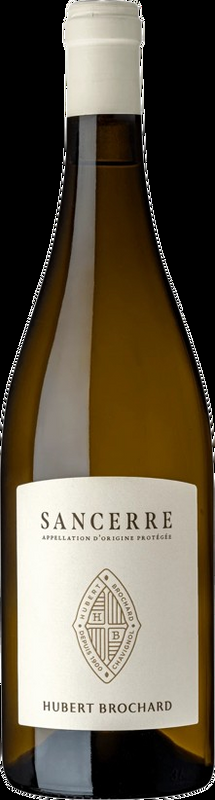 Sauvignon Blanc Domaine Hubert Brochard - 2023 - Loire, Frankreich