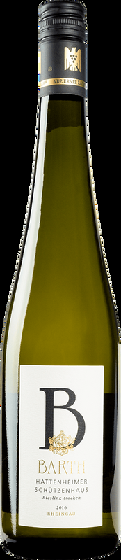 Riesling Hattenheim Schützenhaus Erste Lage Barth - 2023 - Rheintal, Deutschland