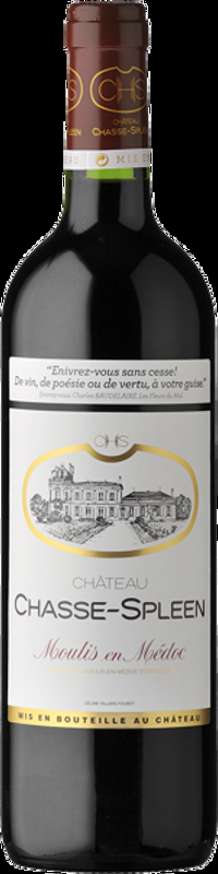 Chasse Spleen AOC Château Chasse Spleen - 2020 - Bordeaux, Frankreich