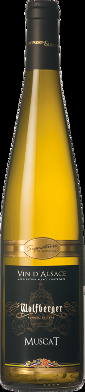 Signature Muscat Vin d'Alsace AOC Wolfberger - 2024 - Elsass, Frankreich