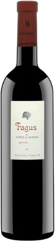 Fagus Seleccion Especial Bodegas Aragonesas - 2022 - Somontano, Spanien