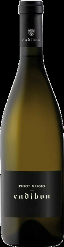 Pinot Grigio DOP Collio Cadibon Cadibon - 2023 - Friaul, Italien