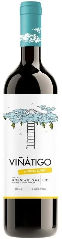 Vijariego Blanco Ycoden Daute Isora D.O. Bodegas Viñatigo - 2024 - Spanien