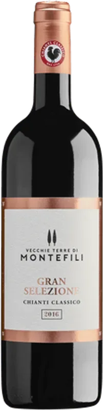 Chianti Classico Gran Selezione DOCG Vecchie Terre di Montefili - 2019 - Toskana, Italien