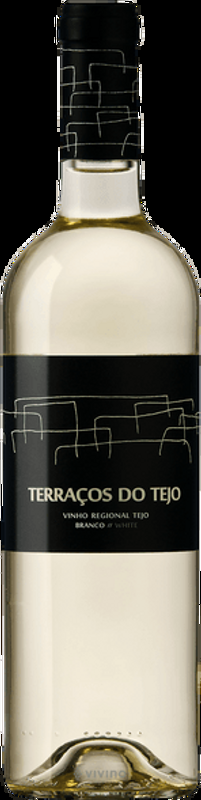 Terraços do Tejo Branco Quinta do Casal da Coelheira - 2025 - Ribatejo, Portugal
