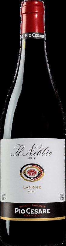 Il Nebbio Langhe DOC Pio Cesare - 2023 - Piemont, Italien