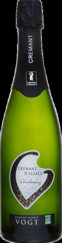 Crémant d'Alsace Brut AC Domaine Laurent Vogt - Elsass, Frankreich
