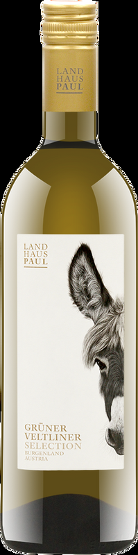 Grüner Veltliner Selection QW Landhaus Paul - 2025 - Burgenland, Österreich