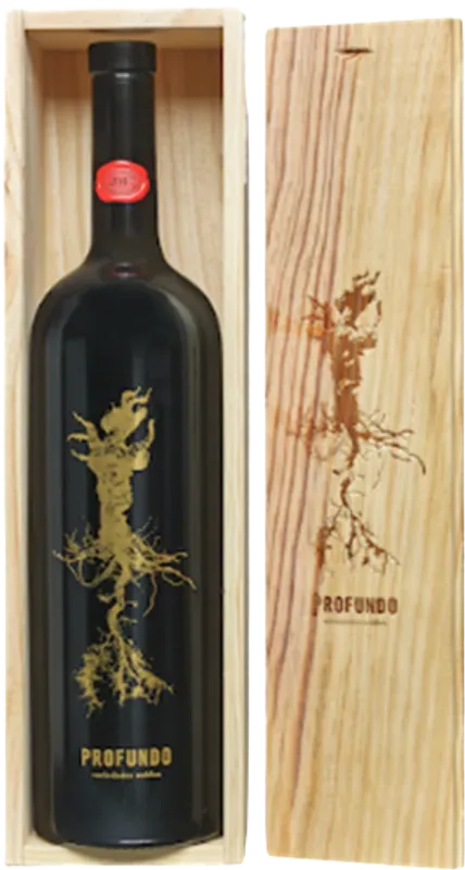 Bodegas Fontana  Profundo Variedades Nobles VdT de Castilla - 2019  - Meseta, Spanien