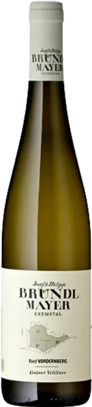 Ried Vordernberg Grüner Veltliner Josef & Philipp Bründlmayer - 2022 - Niederösterreich, Österreich