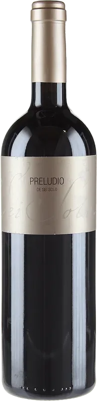 Sei Solo Tinto Cosecha Bodegas Sei Solo - 2013 - Duero-Tal (Castilla y Leon), Spanien