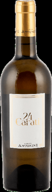 24 Carati Bianco Tenuta Antonini - 2022 - Abruzzen, Italien