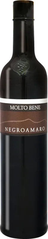 Molto Bene Negroamaro Puglia IGP Molto Bene - 2019 - Apulien, Italien