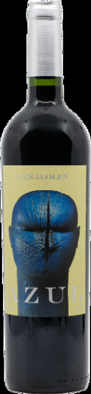 Peñalolen Azul tinto Chile Viña Quebrada de Macul - 2019 - Chile