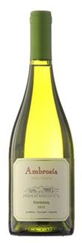 Chardonnay Vina Unica Finca Ambrosía - 2020 - Mendoza, Argentinien