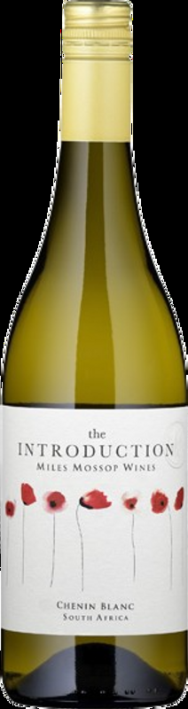 Introduction Chenin Blanc Miles Mossop Wines - 2023 - Coastal Region, Südafrika