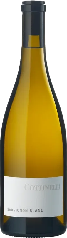 Sauvignon Blanc Graubünden AOC GR Cottinelli - 2024 - Bündner Herrschaft, Schweiz