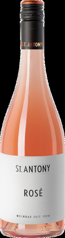 Rosé St. Antony Weingut St. Antony - 2024 - Rheintal, Deutschland