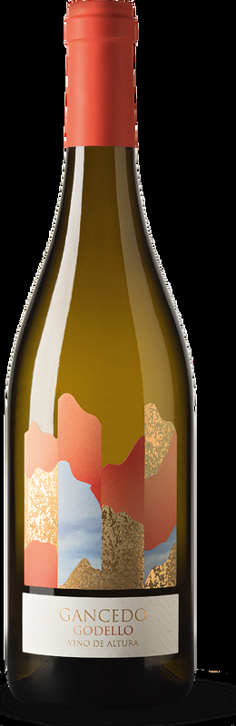 Gancedo Godello Bodegas Gancedo - 2020 - Duero-Tal (Castilla y Leon), Spanien
