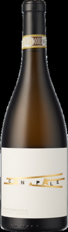 Canapale Offida Pecorino DOCG Vini Centanni - 2023 - Marche, Italien
