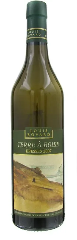 Epesses Terre a Boire AOC Bovard - 2024 - Waadt, Schweiz