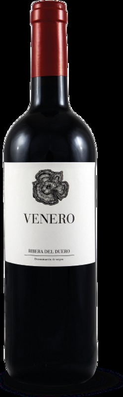 Venero DO Encina - 2022 - Duero-Tal (Castilla y Leon), Spanien