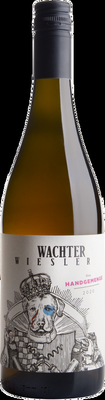 Rosa Handgemenge Weingut Wachter Wiesler - 2025 - Burgenland, Österreich