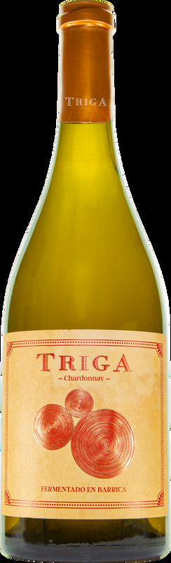 Triga Blanco Bodegas Volver - 2024 - Levante, Spanien
