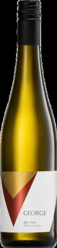 Riesling Big Fish Rheingau Rüdesheimer Bischofsberg Weingut George - 2024 - Rheintal, Deutschland