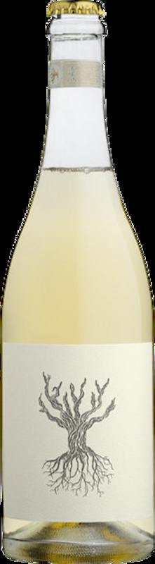 PetNat Metzer - 2022 - Coastal Region, Südafrika
