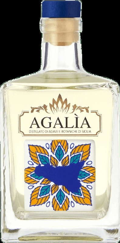 Agalia Agave di Sicilia Agalia - Italien
