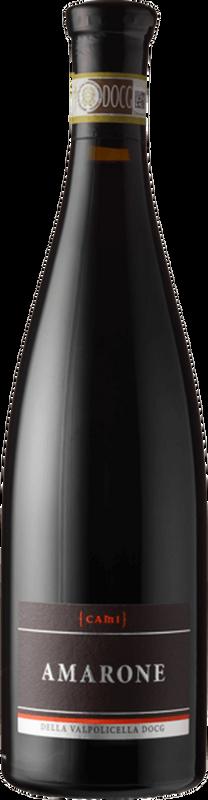 Amarone Cami Valpolicella DOCG Cami - 2023 - Veneto, Italien