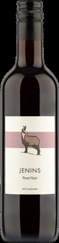 Jenins Pinot Noir AOC Graubünden Rutishauser-Divino - Bündner Herrschaft, Schweiz