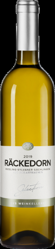 Gachlinger Riesling-Sylvaner Rackedorn GVS Schachenmann - 2024 - Schaffhausen, Schweiz