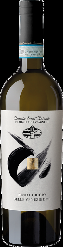Pinot Grigio delle Venezie DOC Tenuta Sant'Antonio Tenuta Sant'Antonio - 2025 - Veneto, Italien