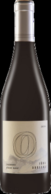 Jenins Pinot Noir AOC Graubünden Jürg Obrecht - 2022 - Bündner Herrschaft, Schweiz