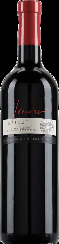 Tendro Merlot Ticino DOC Matasci Vini - 2021 - Tessin, Schweiz