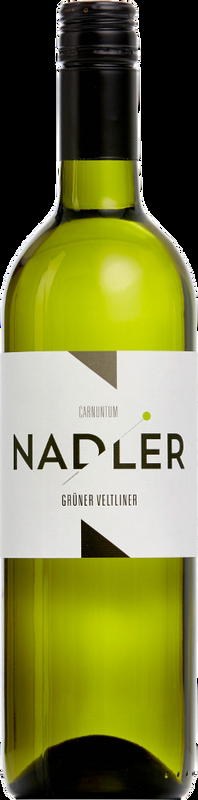 Grüner Veltliner Robert Nadler - 2024 - Carnuntum, Österreich